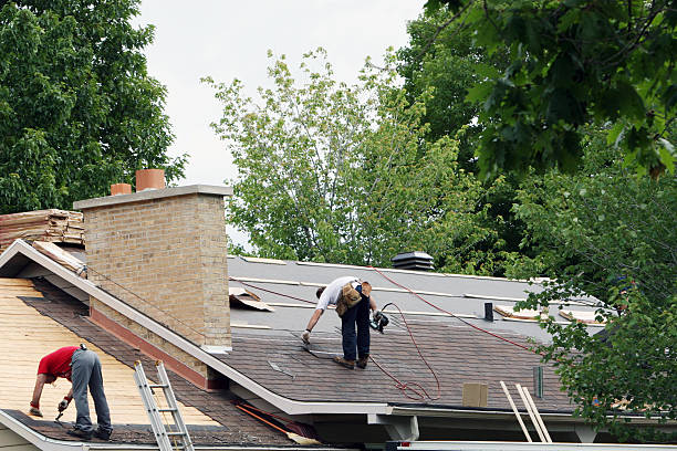 Best Shingle Roofing Installation  in Lusk, WY