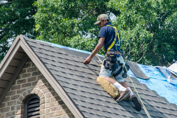 Best Residential Roofing Contractor  in Lusk, WY